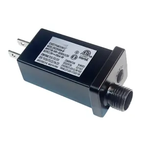 29V 6W LED Transformer Class 2 Power , IP44 LED Controller  Low  Transformer  Plug for Christmas Light, String Light Indoor Outdoor Use (29V 6W)