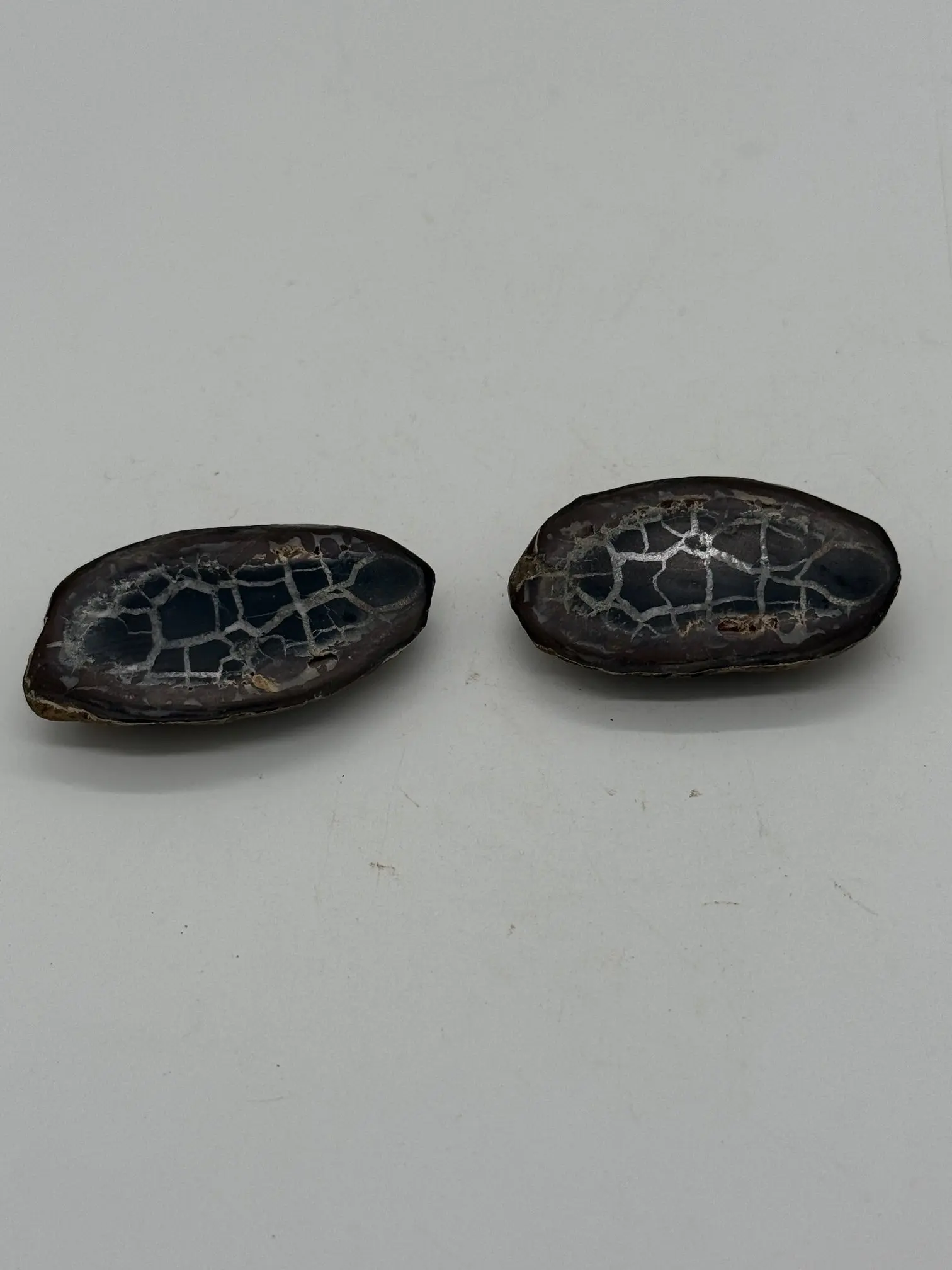 POLISHED SEPTARIAN NODULE HALVES #1 NATURAL CRYSTAL