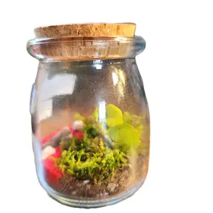Hand-Made Mini Terrarium with Natural Decor, Glass Container, and Wooden Lid