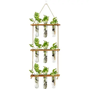 Wall Hanging Propagation Station with Wooden Stand Glass Test Tubes Tiered Planters Wall Terrarium for Home Office  Hanger Flower Vases Wall Decor Hydroponic Cuttings (9 Tube Vases)