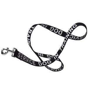 Reflective Nylon Dog Leash – Service Dog in Training | Heavy-Duty, Durable & Safe for Night Walks