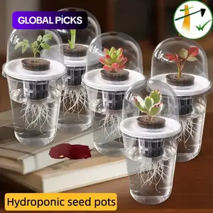 5-Piece Hydroponic Seed Plant Pot Set, Nursery Pots, Transparent Cylinder Design, High Transparency, Visible Root Growth, Small Holes for Aeration, Hydroponic Planters
