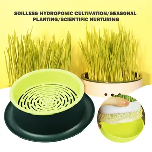 Simple Catgrass Planter Box Portable Catgrass Cultivation Tray For Green Bean