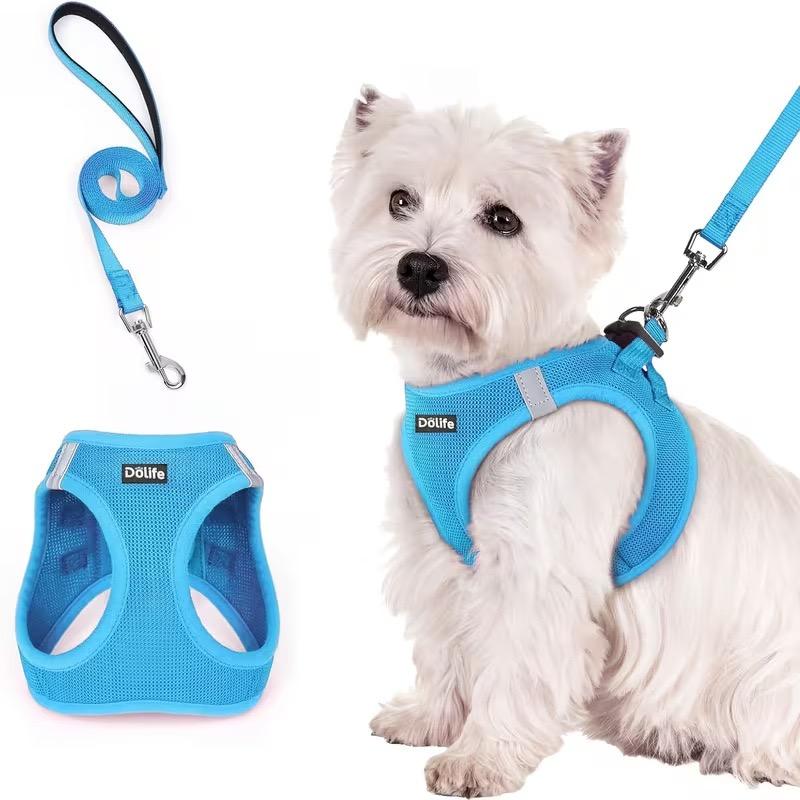 Step-in Mesh Dog Harness & Leash Set