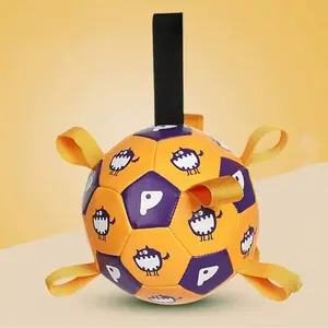 Interactive Dog Football Toy with Grip Tags, Durable Dog Ball for Small and Medium Dogs, Indoor Outdoor Use, Includes Pump and Air Needle