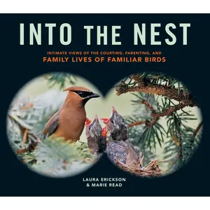 Into the Nest