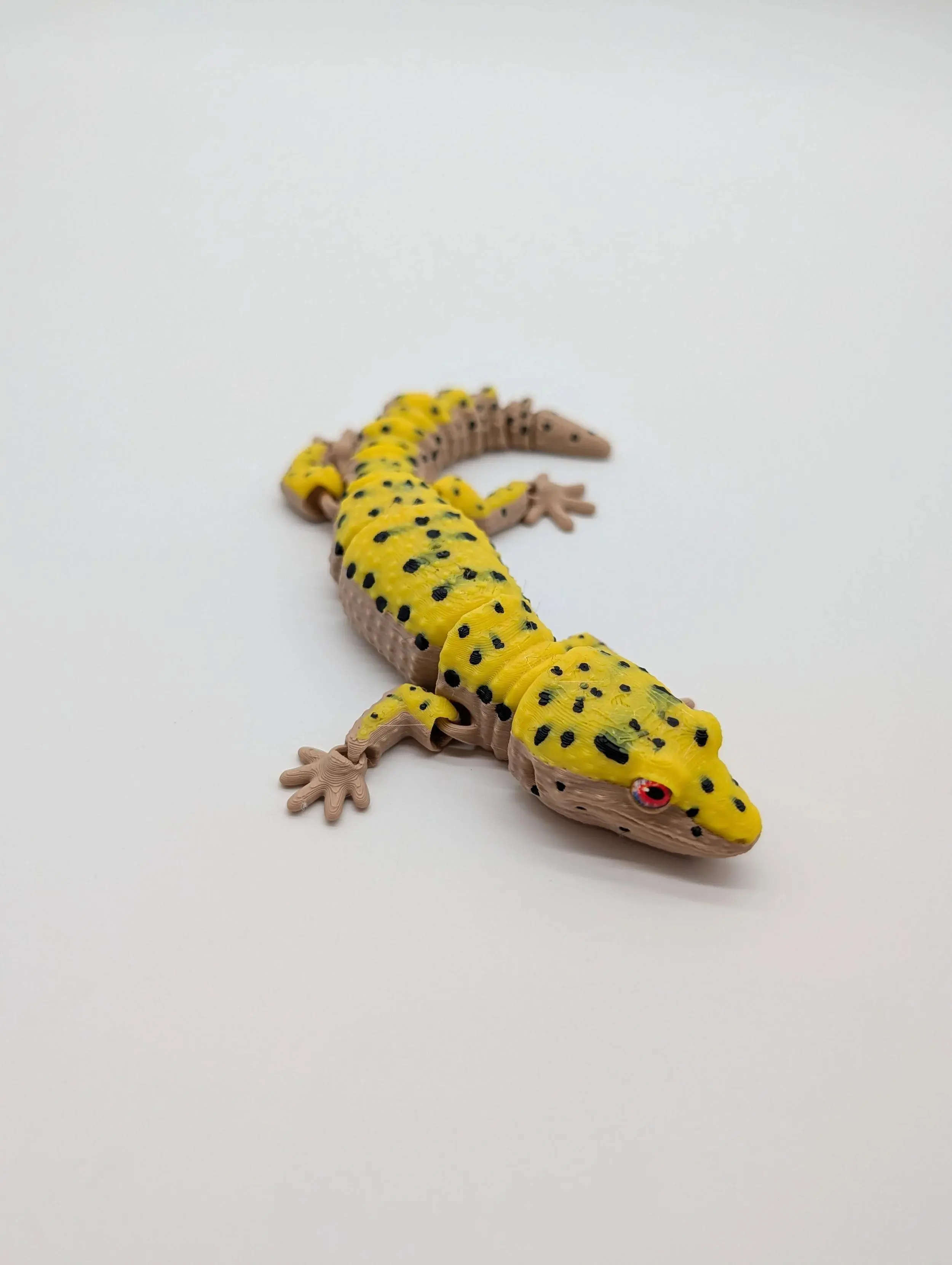 Leopard Gecko