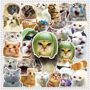 Cute Cat Pattern Sticker, 100pcs/set Repeatable Creative Graffiti Sticker, Waterproof Decorative Sticker for Laptop, Phone, Computer, Guitar, Bag, Water Cup, Scrapbook, Ornaments