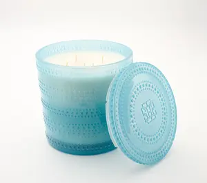 QVC HomeWorx by Slatkin + Co. 80oz Luxe Vanilla Pine Scented Candle for Home Decor, Home Supplies