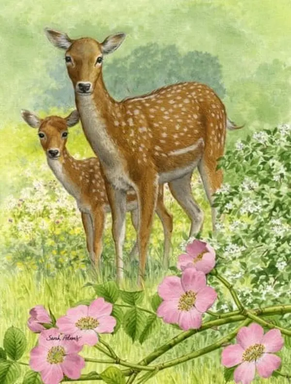 Decorative Outdoor Fallow Deer & Calf Garden Flag, Animal Theme Naturalistic Garden Decor
