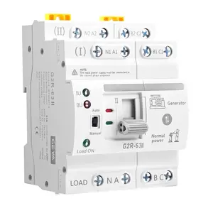 63Amp 110V AC Mini ATS Automatic/Manual Transfer , 4Pole G2R Solar Auto Dual Power Changeover  for , Din Rail Mounted 50/60Hz CE Certified for Rv, , Cn Public/Backup Power