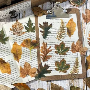 Natural Leaf Stickers (30 Sheets/package), Plant Planner Journal Decorations, Scrapbook Album Handmade Decoration Supplies, Adhesive Stickers