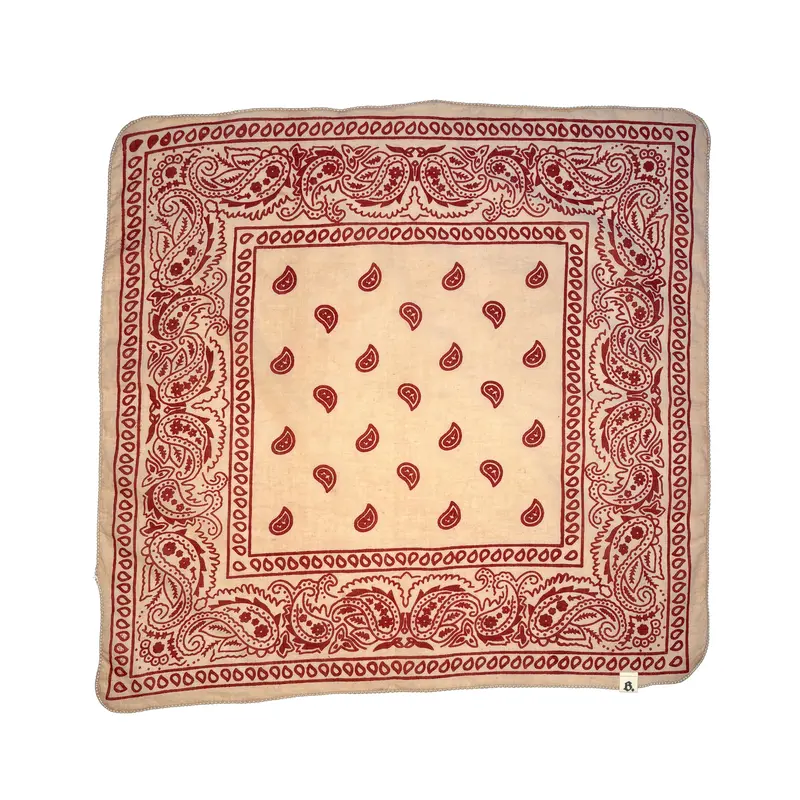 Bight Rust Bandana – Small-Batch, Hand Block-Printed Organic Cotton Paisley Head Scarf