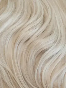 Ash Blonde (60) 22" 220g - Clip-Ins