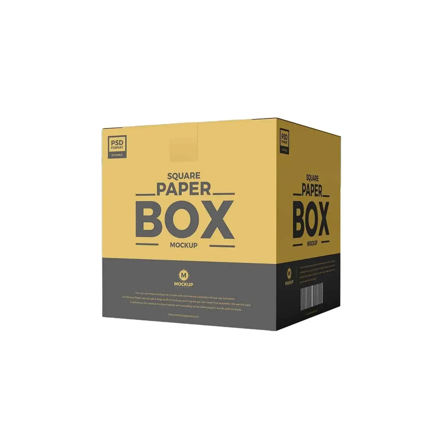 Magic Box Magic Box