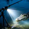 500lm Multi-functional Outdoor Scene Lighting