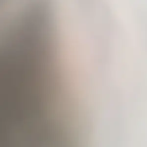 Paldean Fates Tech Sticker Collection (MCAP)