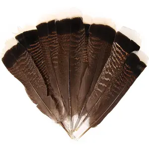 Natural Turkey Tails Feathers 8-10inch (20-25cm) for Crafts DIY Home Wedding Party Halloween Decoration Feathers (20pcs)