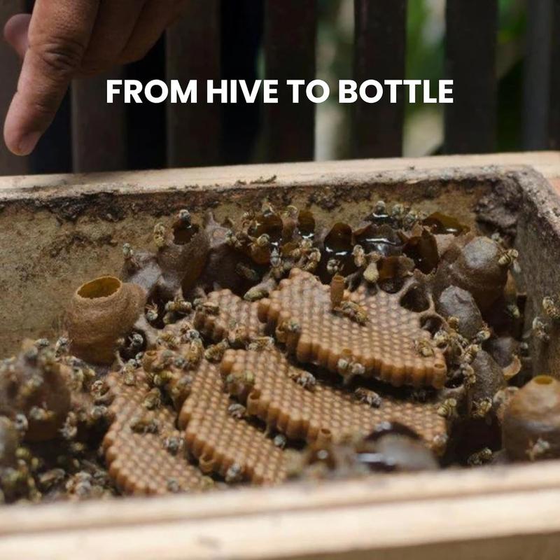 Melipona Honey | Stingless Bee Honey | Miel Melipona | Authentic | 100% Natural | Raw | Pure | Sweet & Tangy | JIMERITO | Yucatán | IMPORTED FROM MEXICO Premium Grade