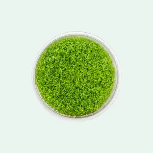 Hemianthus Callitrichoides ‘Cuba'