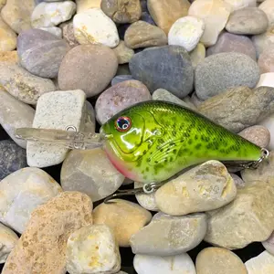 Mayhem Fishing DT10 Style Rattling Custom Paint Crankbait Bass Magnet