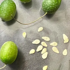 Cucamelon Seeds