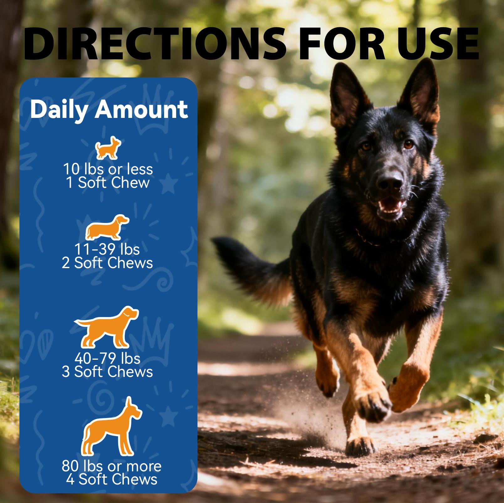 OurCares  Generation 2 Hip and Joint for Dogs Glucosamine for Dogs Hip and Joint Supplement with Chondroitin MSM Vitamins C & E - Chicken Flavor 100 Soft Chews Pet Daily Chews Snacks