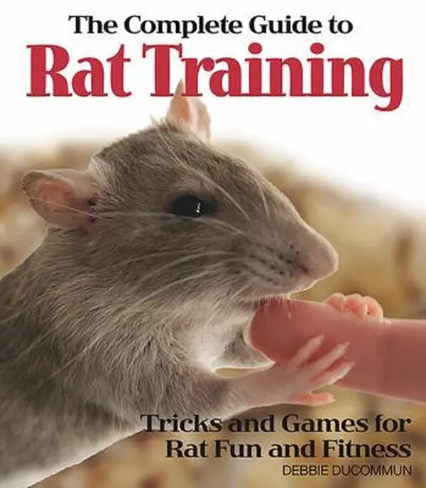 USED Book - The Complete Guide to Rat Training: Tricks and Games for Rat Fun and Fitness by Debbie Ducommun (Paperback) - english