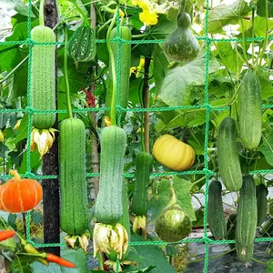 Melon and Fruit Heavy Climbing Support Net Nylon Reinforced Cucumber Luffa Holder Net Anti-falling Fruit Vine Bracket Courtyard Garden Durable Growth Net Pocket Adjustable Garden Netting