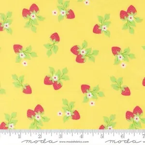 Fruit Salad Sunshine by Corey Yoder for Moda Fabrics by the Yard