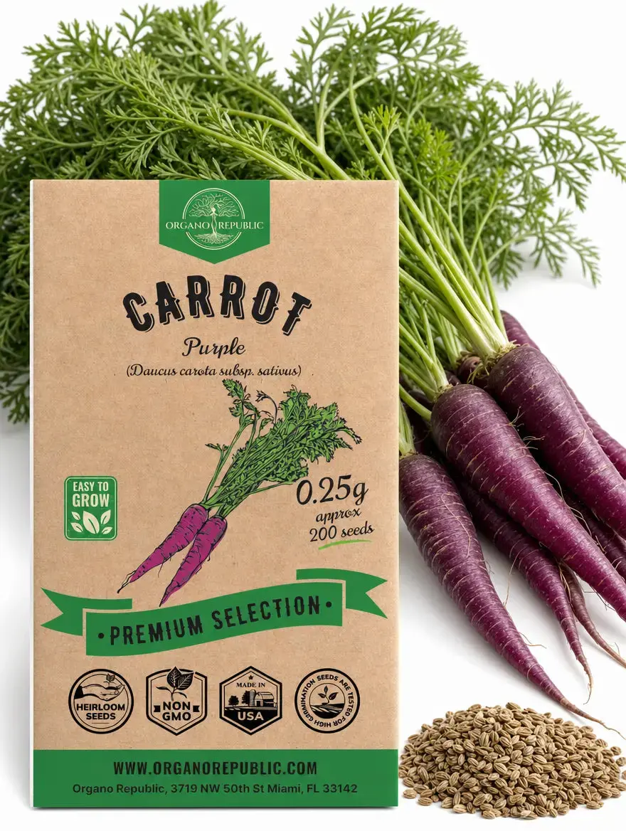 Purple Carrot Seeds – Non-GMO Heirloom