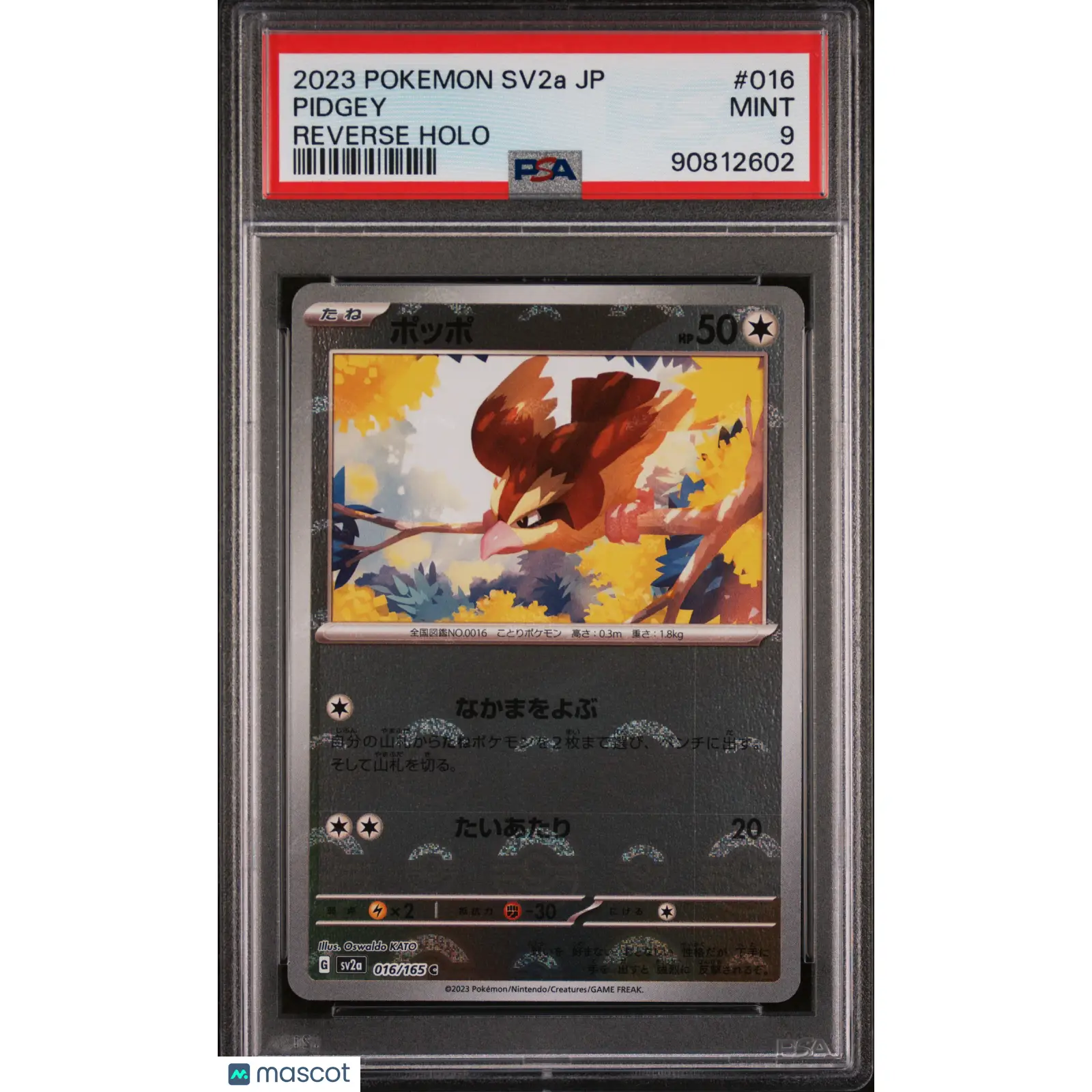 PSA 2023 PokéMon TCG Pidgey #016 Japanese 9