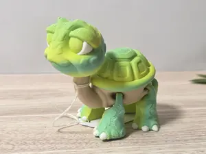 Tortoise