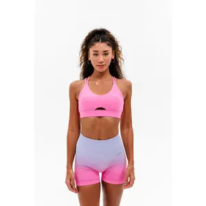 Distinct Sports Bra 2.0