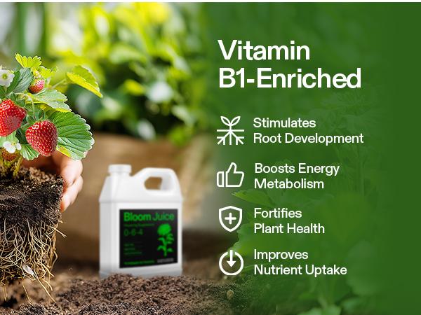 VIVOSUN Bloom Juice (0-6-4), Flowering Supplement Liquid Fertilizer for Flowering Stage, Concentrated Plant Food for All Flowering Plants, 32 Ounces/1 Quart