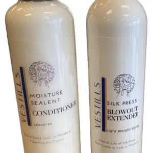 Blowout/ SilkPress Hair Treatment Hydrate Haircare