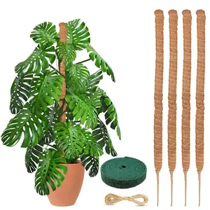 Moss Pole Monstera Plant Support 28" (4 Pack) Indoor Plants | EcoNour