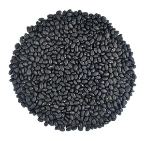 Organic Black Turtle Beans- Fiber & Protein rich, Raw, Non-GMO, Vegan Bulk