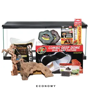 COMPLETE Uromastyx Setup