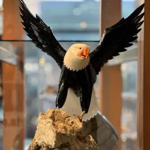 15 inch white and black Marble american Eagle crystal setting on Mica-Pegmatite Matrix with Orange Jasper beak