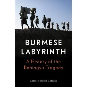 USED-The Burmese Labyrinth by Galache, Carlos Sardina (Paperback)