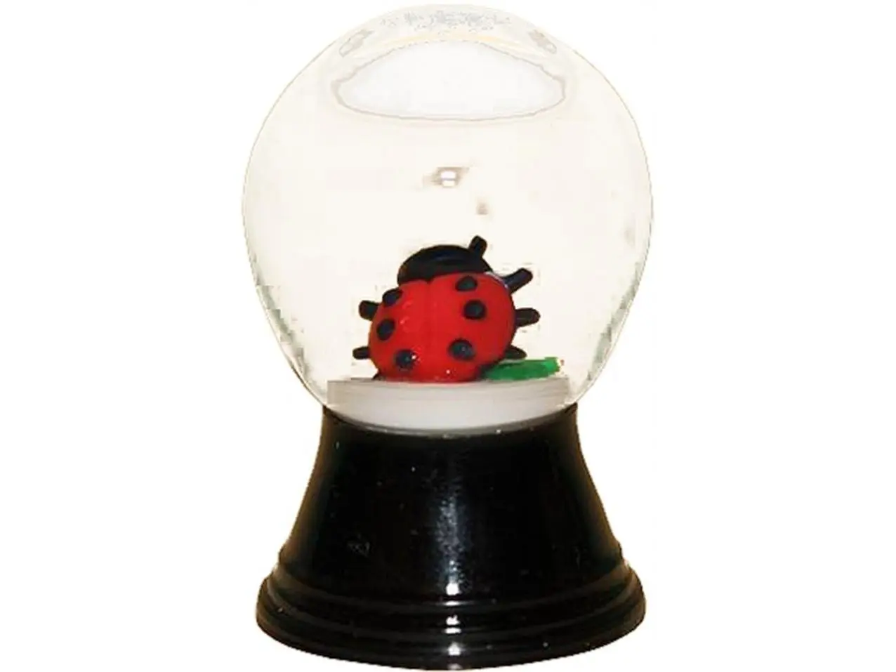 y Snowglobe - Mini Ladybug