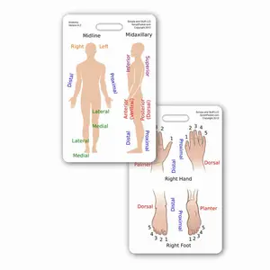 Anatomical Directions Badge Card