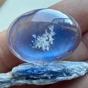 Real Snowflake Preserved - Art Display Decoration