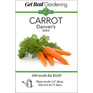 Carrot - Danvers Seeds - Best Choice for All Soil Types - ON SALE