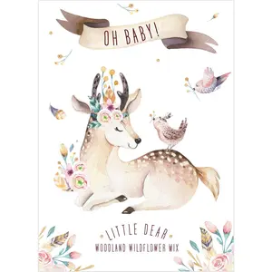 Oh Baby Little Dear Woodland - Wildflower Mix Seed Packets