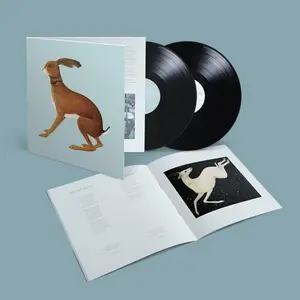 Lookaftering ( Expanded ) - Vashti Bunyan - Record Album, Vinyl LP
