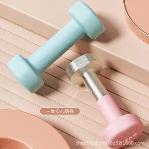 Yoga Fitness Flat Head Scrub Dipping Dumbbells Men and Women Home Exercise Equipment Solid Cast Iron Dumbbells