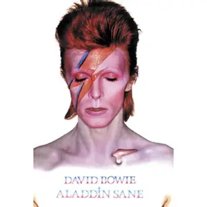 David Bowie Aladdin Sane Poster