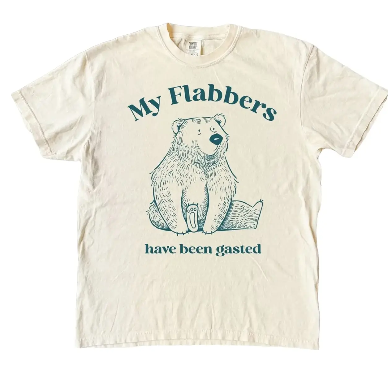 My Flabbers Have Been Gasted Funny Shirt, Silly Tshirt, Funny Shirt, Graphic Tee, vintage graphic tee